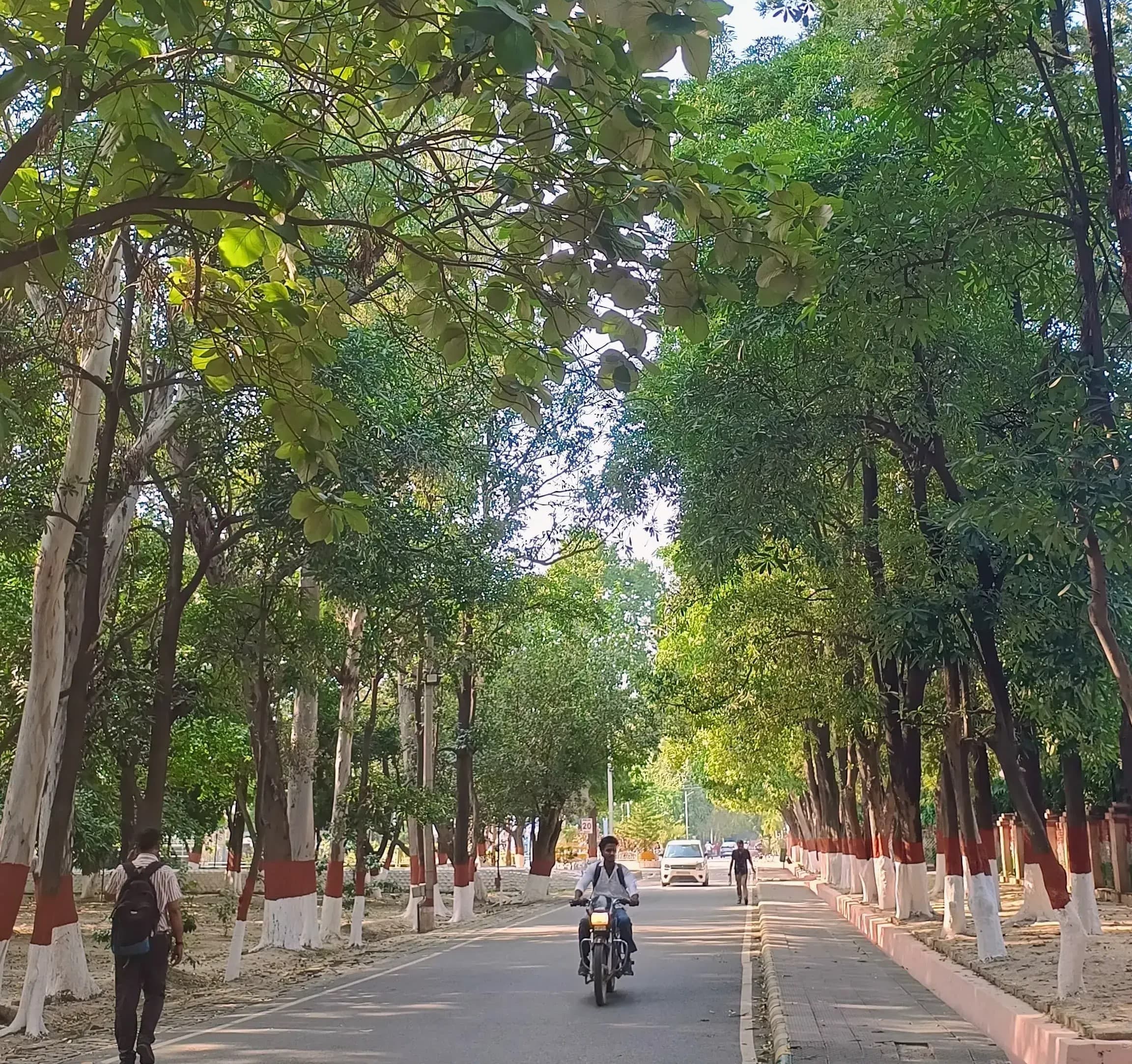 CCSU Academic Building photo 3